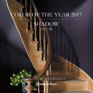 benjamin-moore-colour-of-the-year-2017-shadow